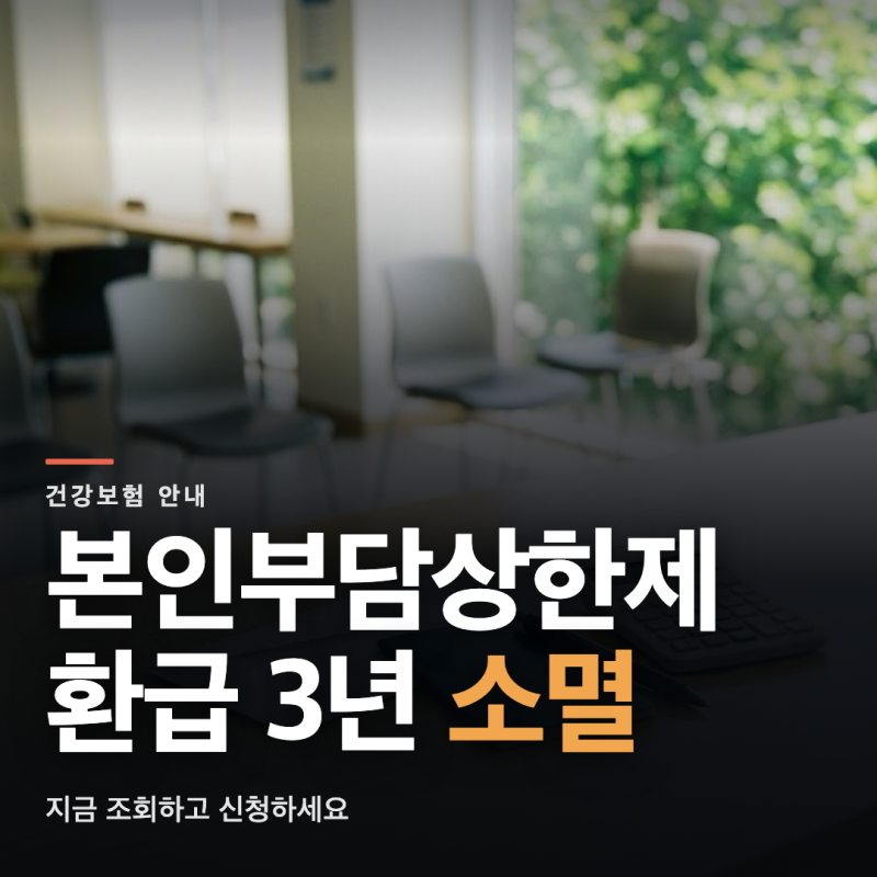 본인부담상한제 환급 신청 방법과 조회 절차, 소멸 전에 확인할 것