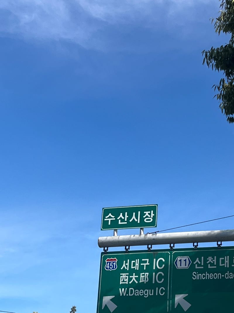 [대구 맛집] 제철 맞은 대구 매천시장, 생새우 회 먹고 온 솔직 후기