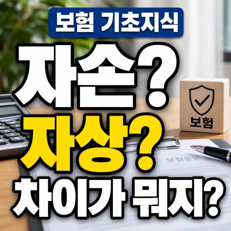 자동차보험 자손 자상 차이 단독사고 나고 후회하지 않으려면..