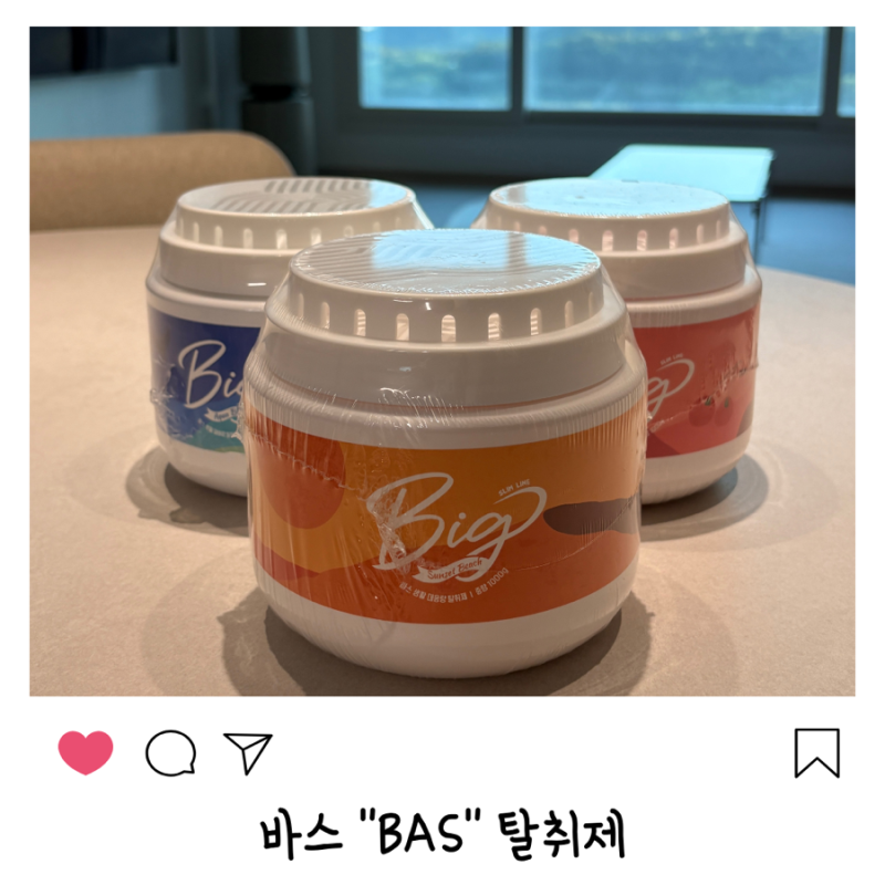 바스 BAS 대용량 탈취제 공구템 내돈내산 후기