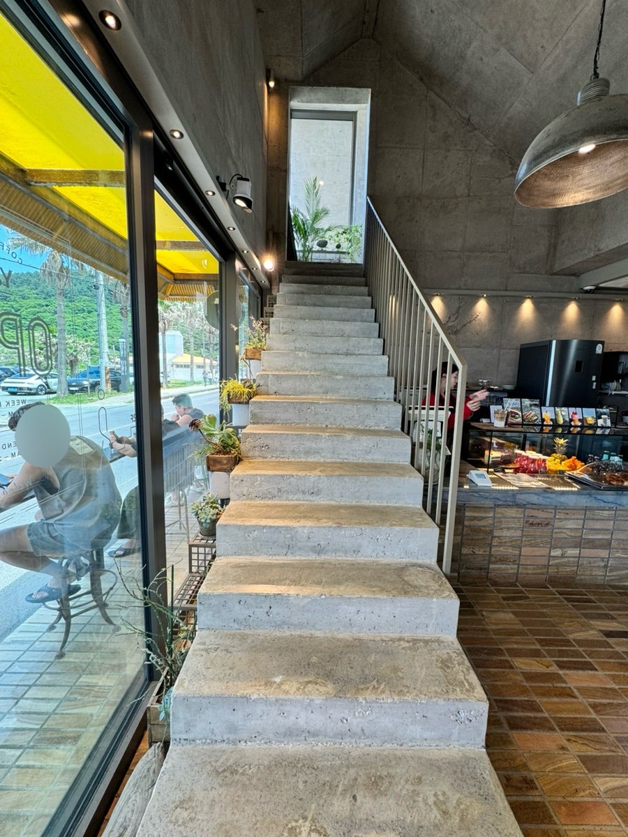 야야 사진 6