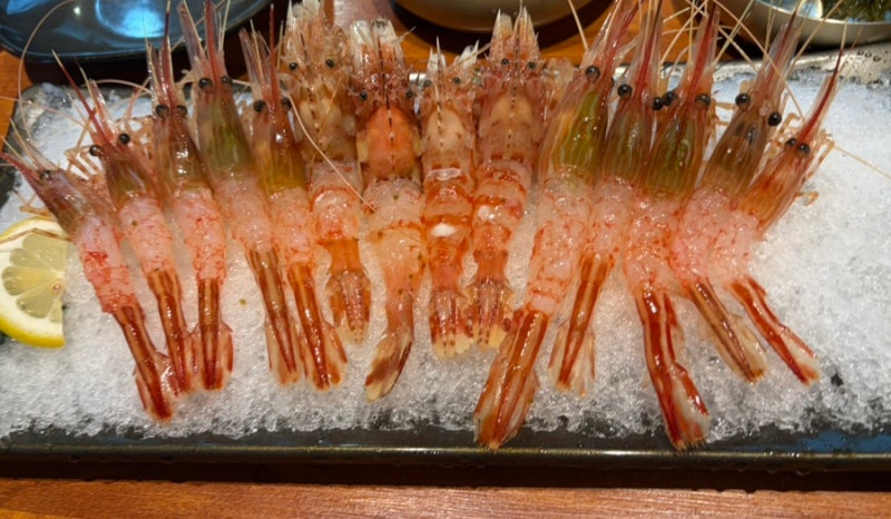 [파주 회 맛집 동해안]독도새우부터 성게까지 동해안 해산물 풀코스 후기(feat.살아있는 아귀....