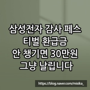 삼성전자 감사 페스티벌 환급금, 안 챙기면 30만원 그냥 날립니다