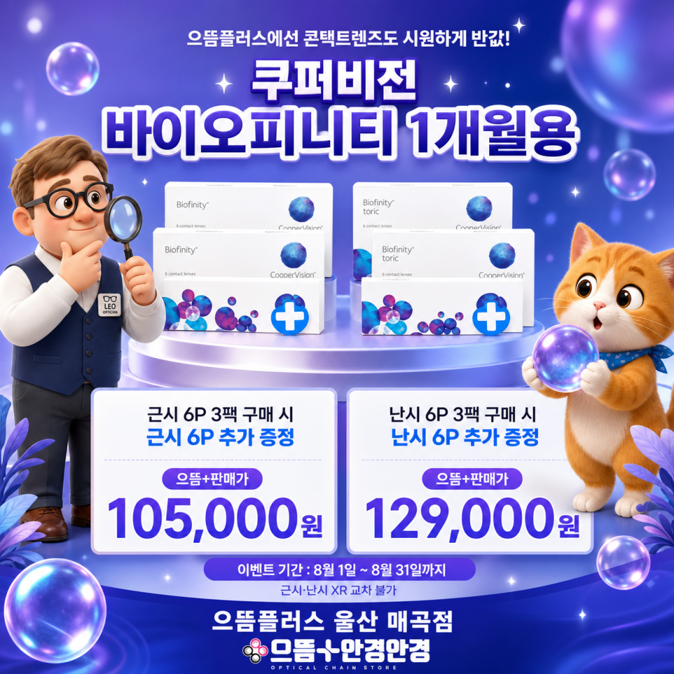 마이데이 사진 4