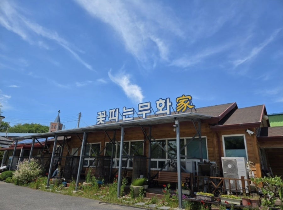 꽃피는무화가 사진 1