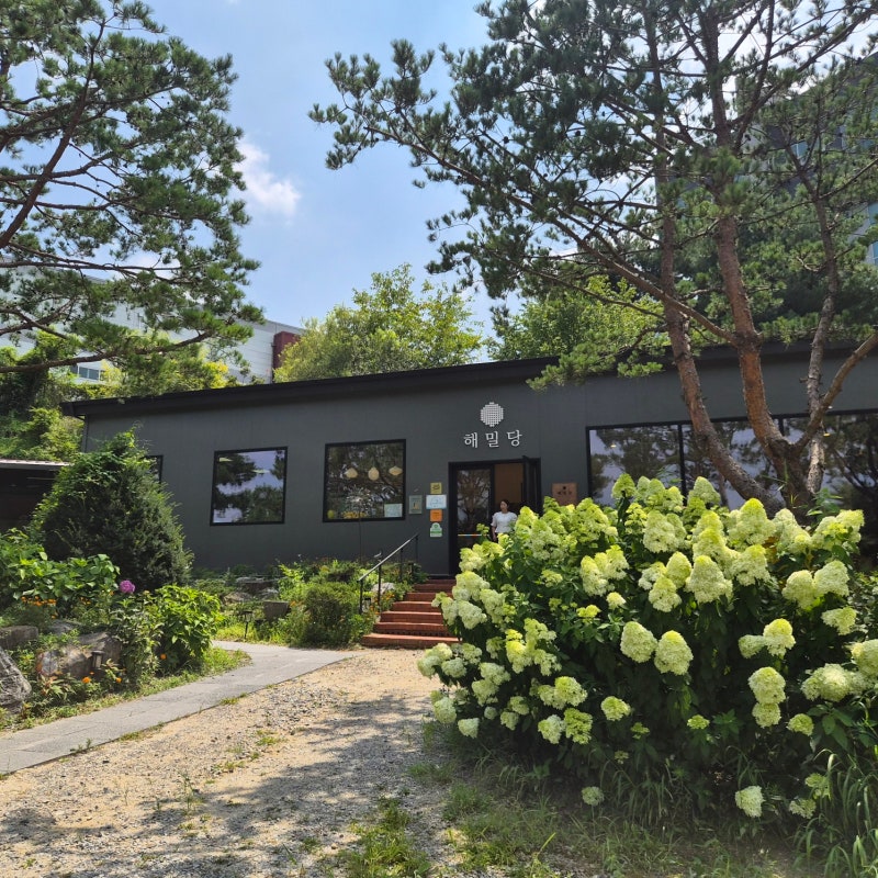 청주이색체험 해밀당에서 피자만들기와 밀랍공예까지