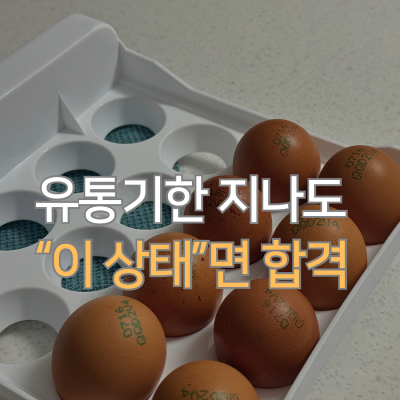 냉장고 속 오래된 계란, 버리기 전에 꼭 확인해야 할 3가지