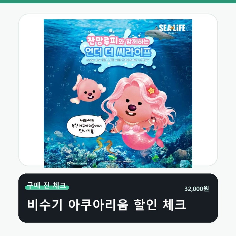 특가 비수기 아쿠아리움 입장권 구매 전 딱 이것만 확인