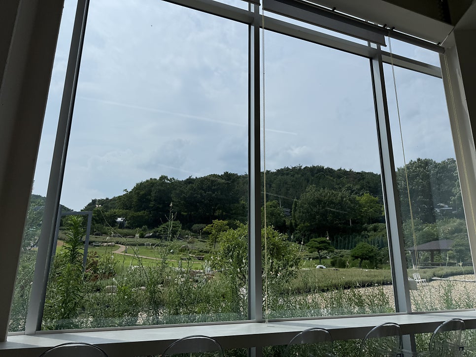 느티나무 사진 3