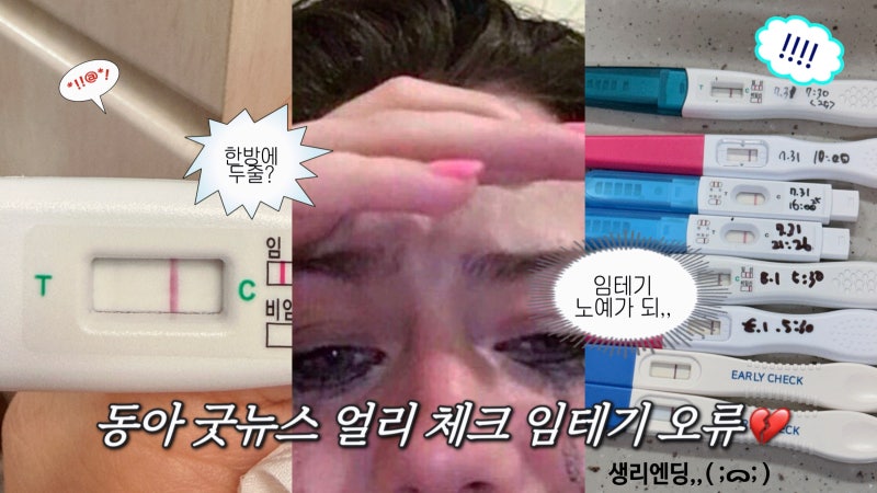 임신 준비 첫 시도 후기 | 배란8-11일차 몸의 변화, 굿뉴스 얼리체크 임테기오류, 생리엔딩