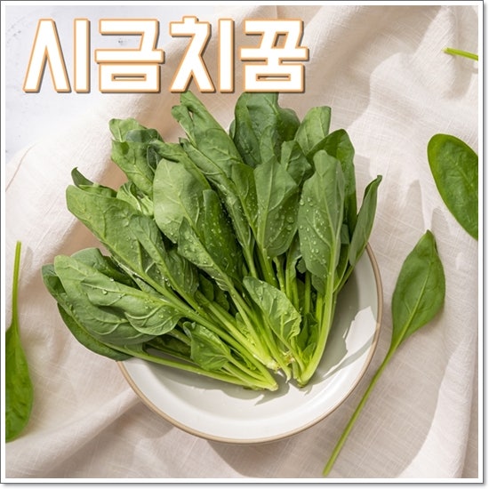 시금치꿈 해몽 시금치밭꿈 풀이 6가지 살펴보기