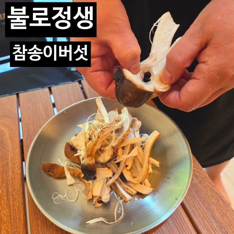 참송이버섯 불로정생 무농약 참송이버섯요리 버섯종류 먹는법