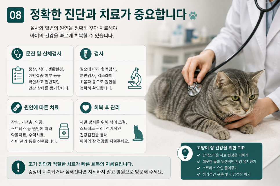 모리네동물의료센터 사진 6