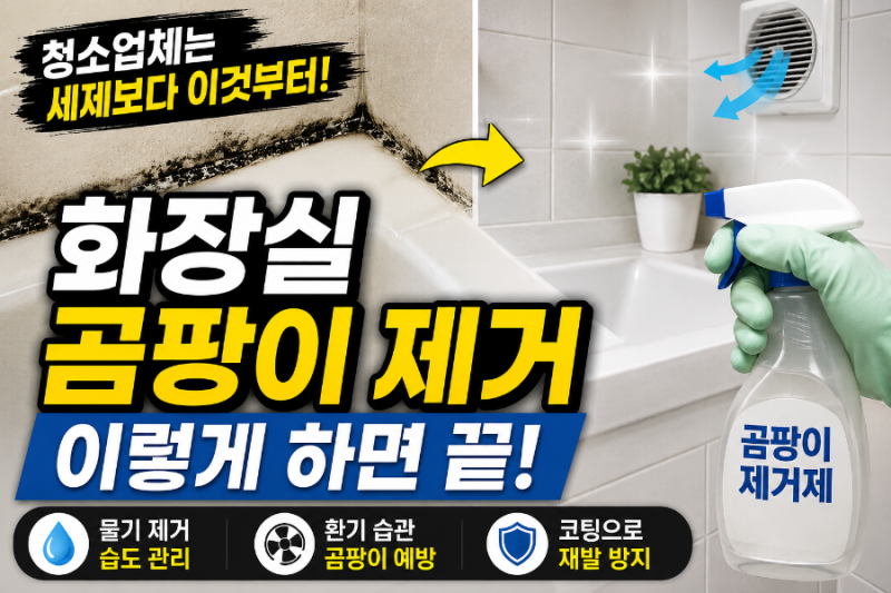 화장실 곰팡이 제거 방법, 청소업체 노하우 정리
