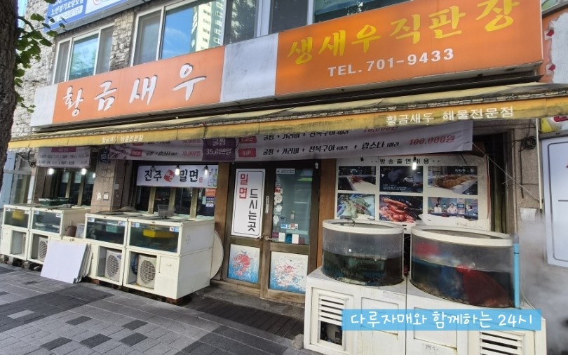 황금새우 사진 2