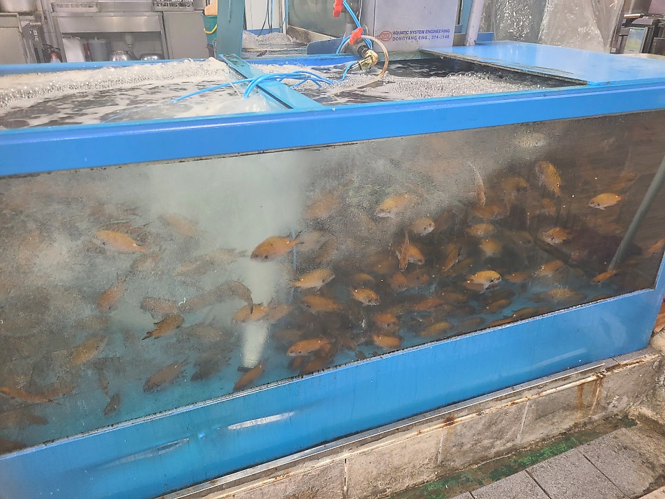 그린물회 사진 4