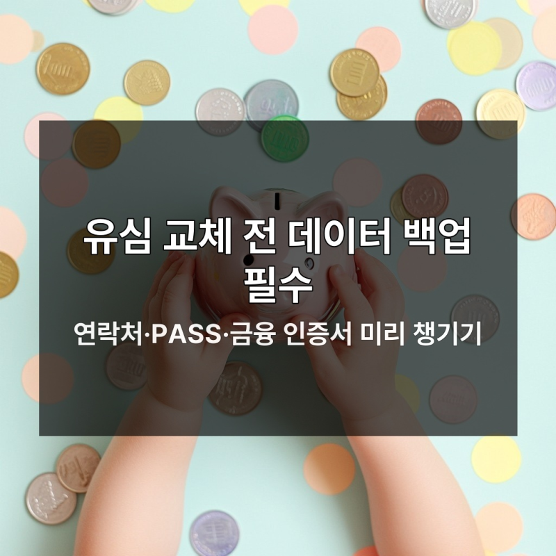 유심 교체 안 하면 인증서·교통카드 날리는 진짜 손해