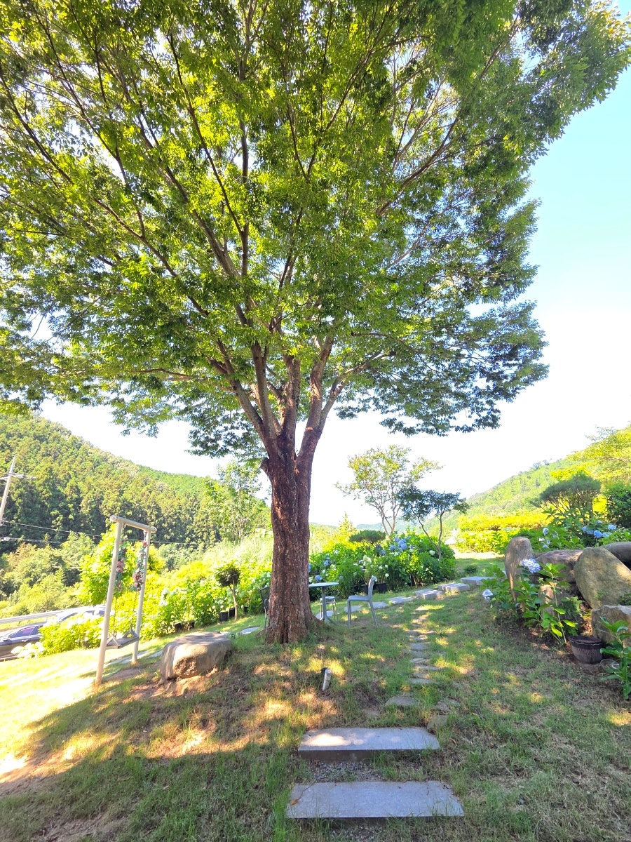 담서 사진 6