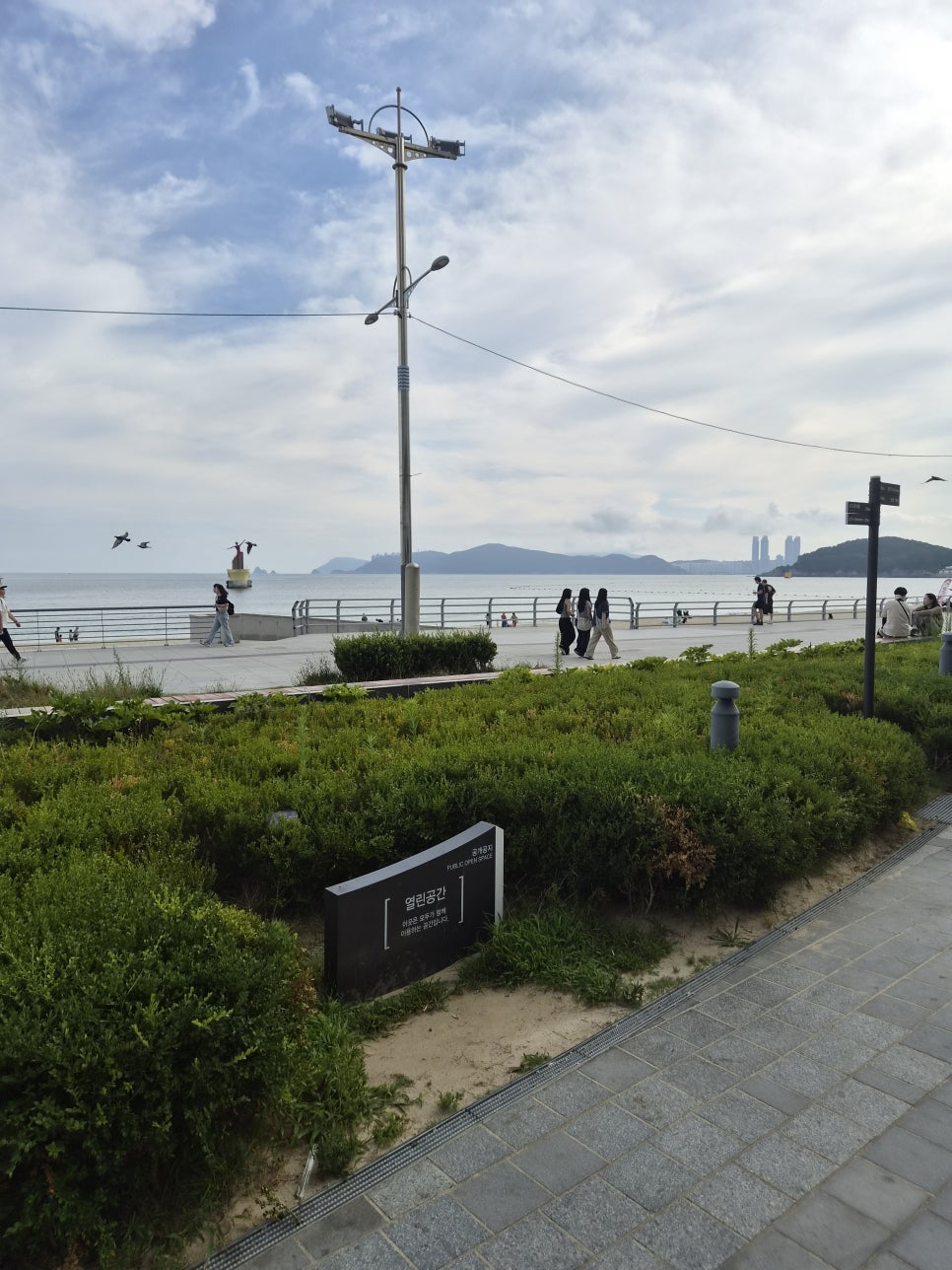 연화리해물천국 사진 2