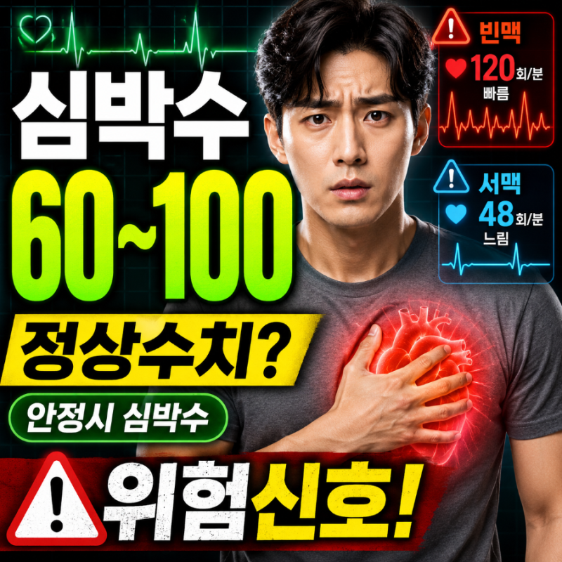 심박수정상수치 성인 (+안정시 심박수, 빈맥 서맥) - 분당 60~100회 기준과 꼭 알아야 할 위험 ....
