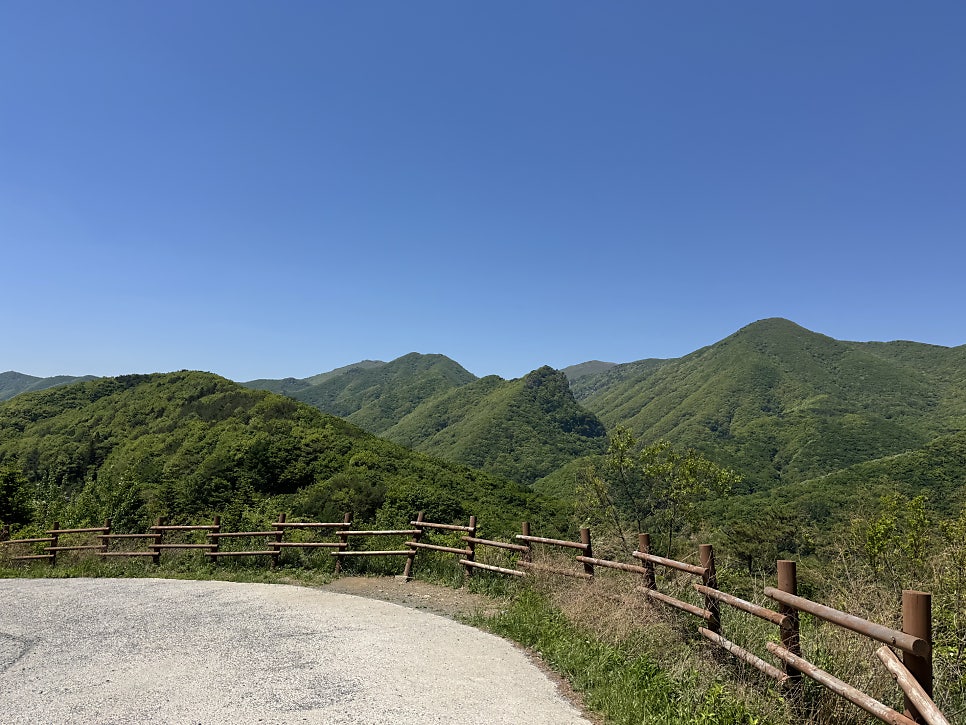 신불산 사진 1