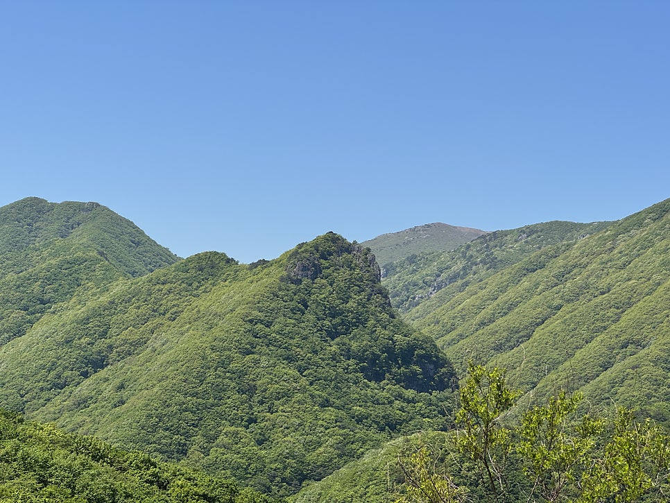 신불산 사진 2