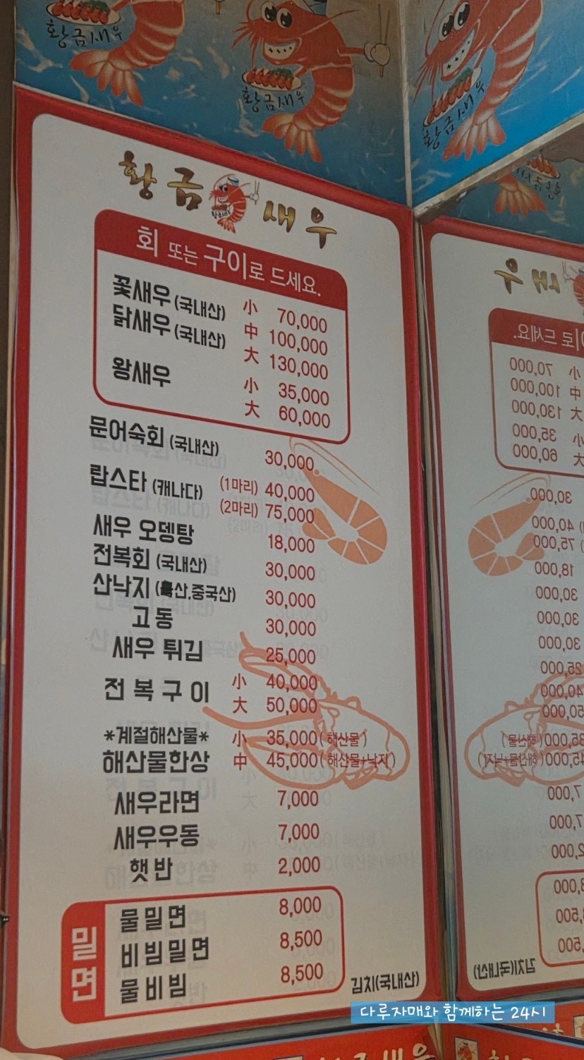 황금새우 사진 6