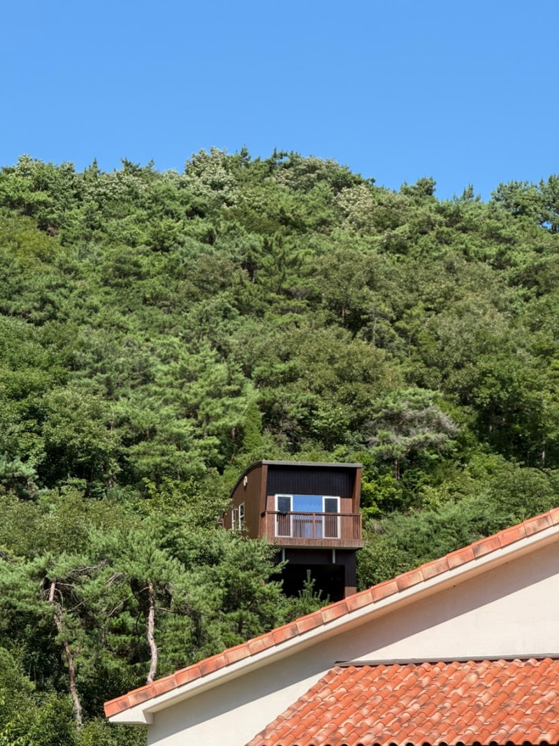 변산반도 여행 1일차 @국립변산자연휴양림