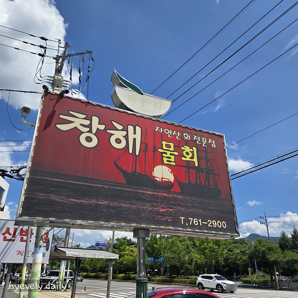 창해물회 사진 6