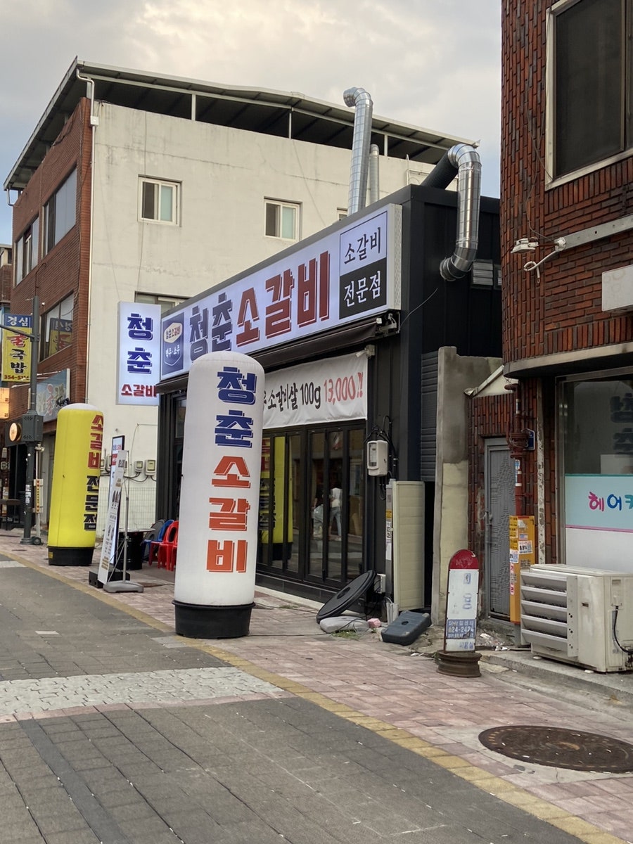청춘 사진 1