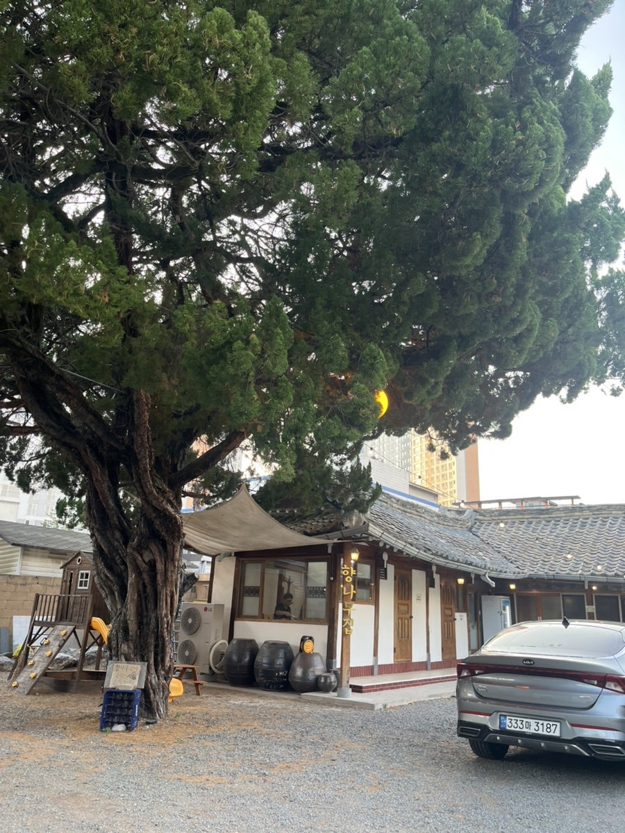 향나무집 사진 1