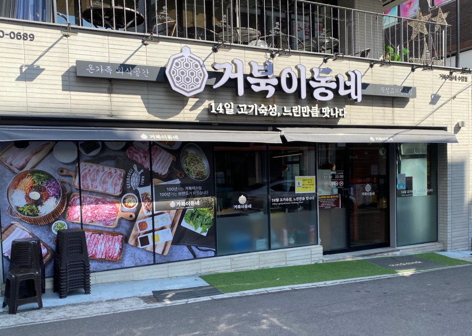 거북이 사진 4