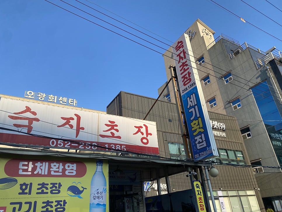 세기횟집 사진 3