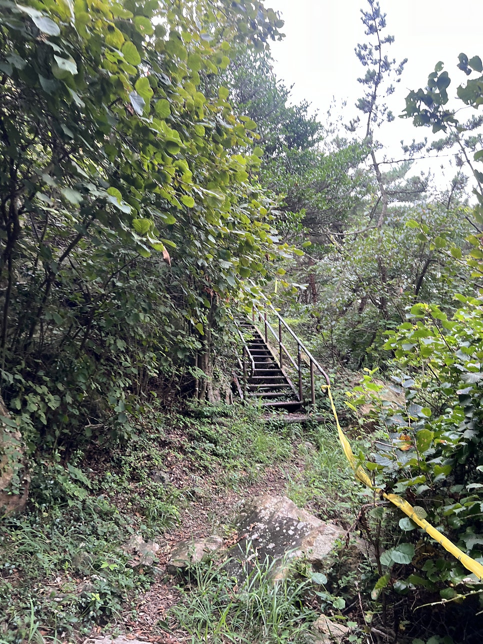 봉수산 사진 5