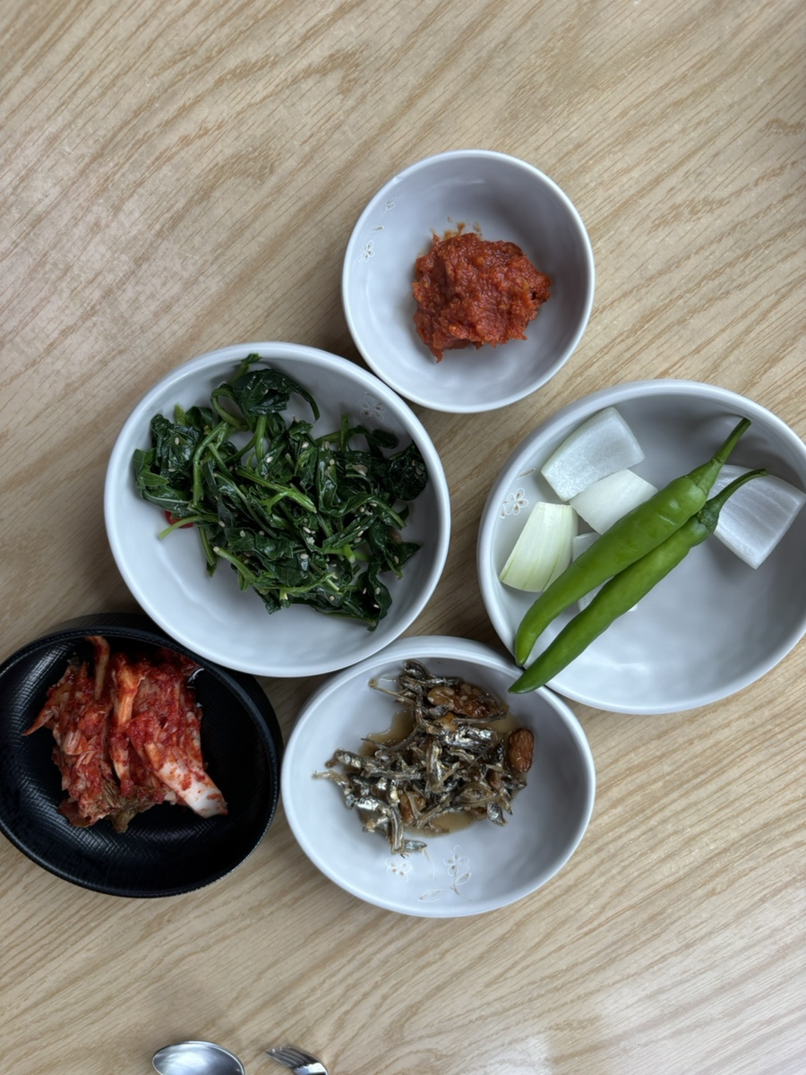 메밀꽃제주 사진 5