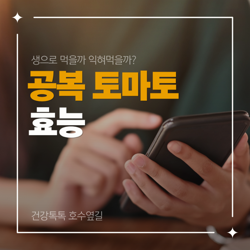 공복 토마토 효능, 익혀 먹는 방법과 조합 정리