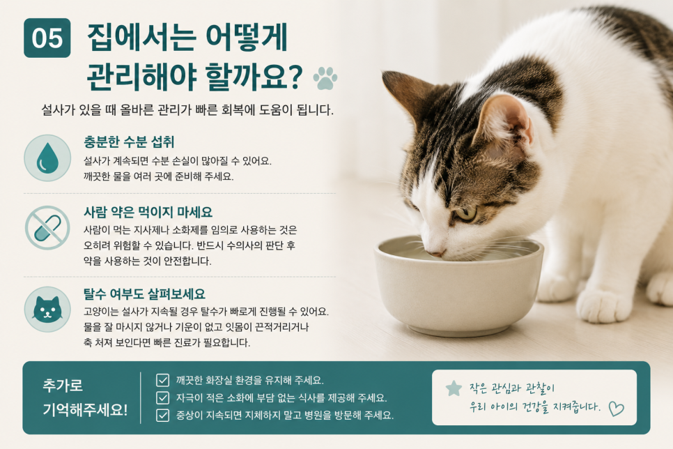 모리네동물의료센터 사진 5