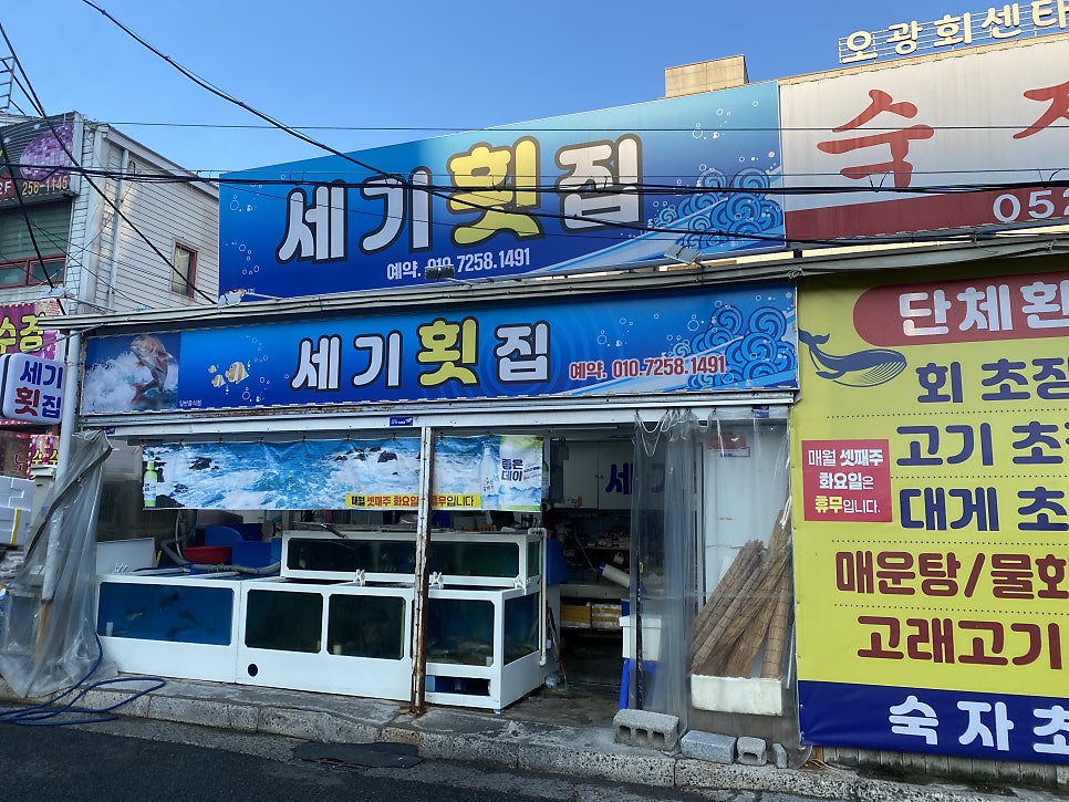 세기횟집 사진 1