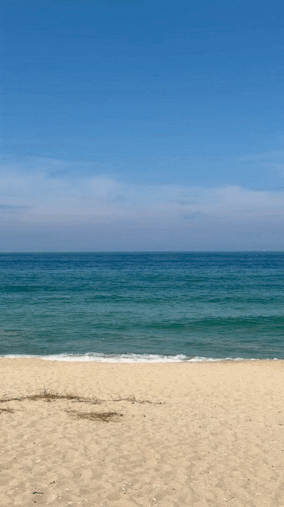 강릉 숨은명소 송정해변솔밭 산책로 주차 총정리