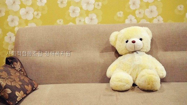 청해 사진 4