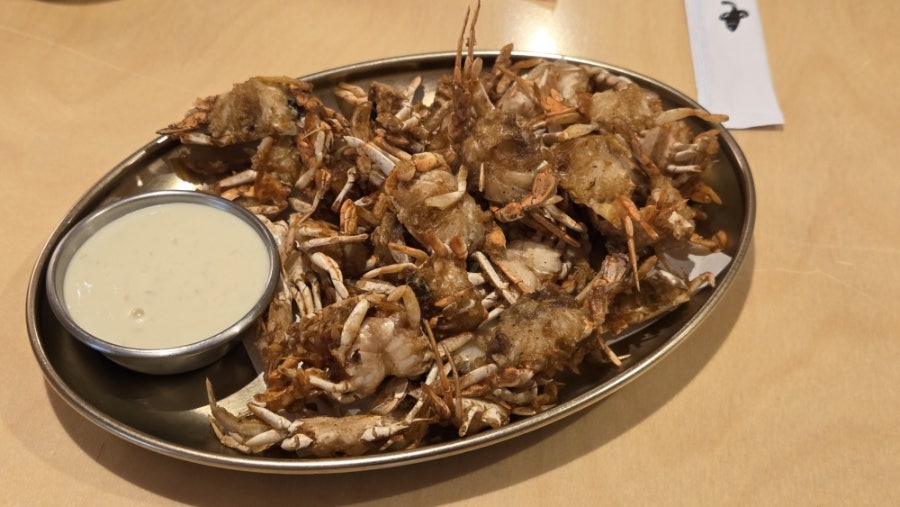 해정 사진 4