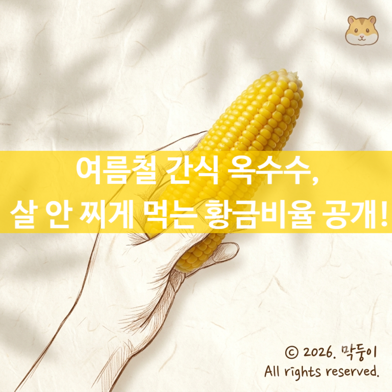 옥수수 효능 알고 먹자! 100g 칼로리와 당지수 비밀