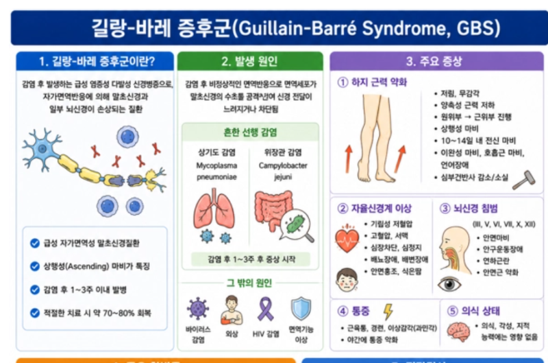 [성인간호학] 24. 길랑-바레 증후군 핵심 정리