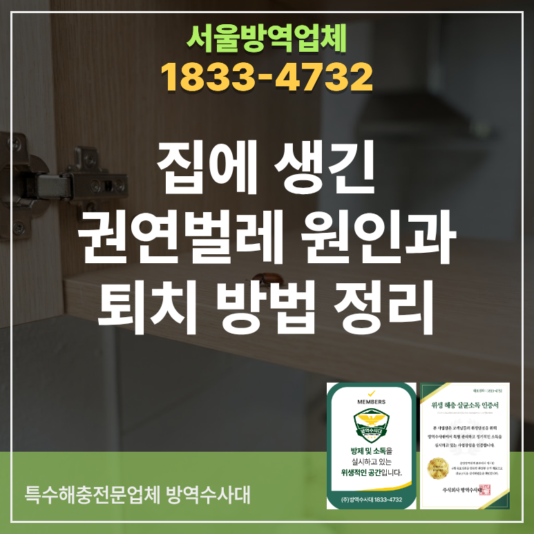 집에 생긴 권연벌레 원인과 퇴치 방법 정리