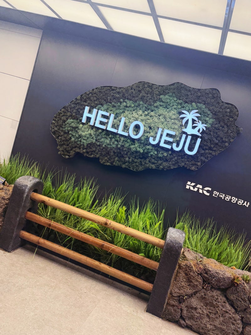 제주도 여행 롯데호텔 제주/롯데호텔 제주 라세느 석식/롯데호텔 해온 수영장 후기