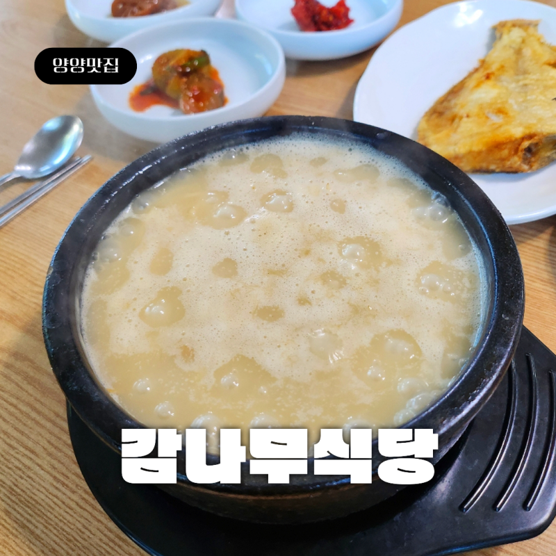 강원도 양양맛집 '감나무식당' 황태국밥 평일 오픈런 웨이팅 찐후기
