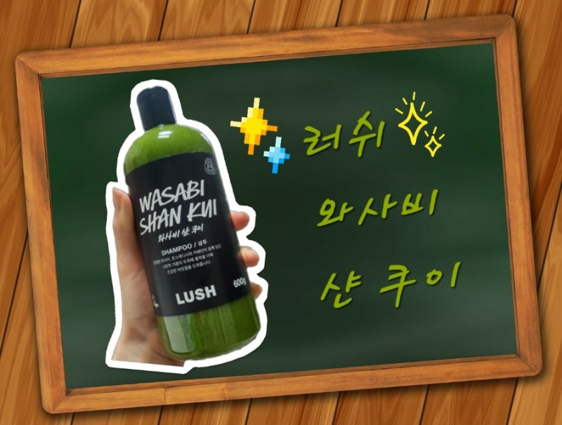 지성 샴푸 No.1, 러쉬 와사비 샨 쿠이[가격, 향, 성분, 재구매, 1년 사용, 탈모 개선]