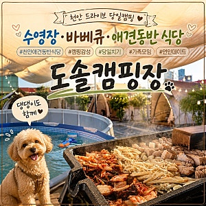 천안 야외바베큐장 신부동 고기집 천안캠핑 애견동반 도솔캠핑앤그릴