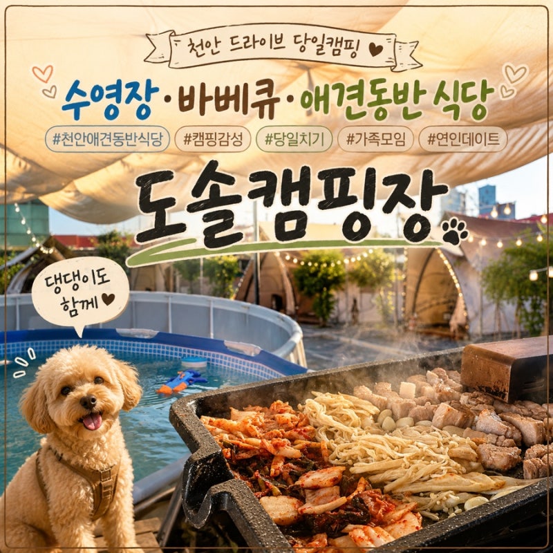 천안 야외바베큐장 신부동 고기집 천안캠핑 애견동반 도솔캠핑앤그릴