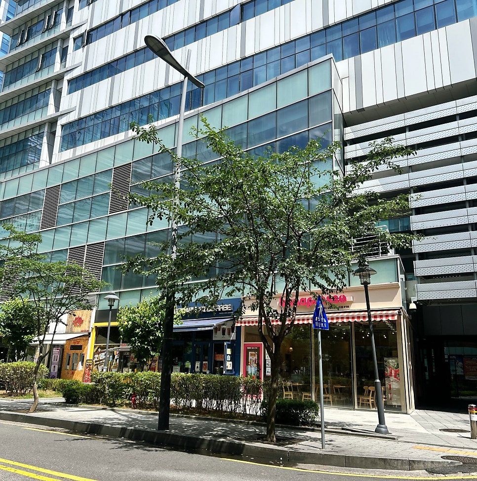 보말진칼국수김밥 사진 1
